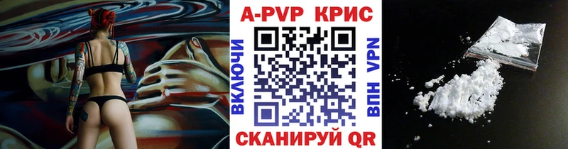 Купить  Гусев  A PVP крисы CK 
