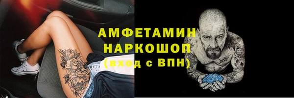 молекула духа Каменногорск