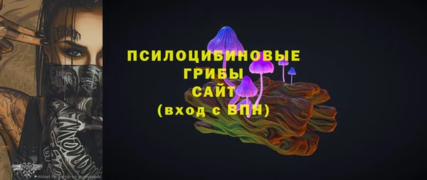 молекула духа Каменногорск