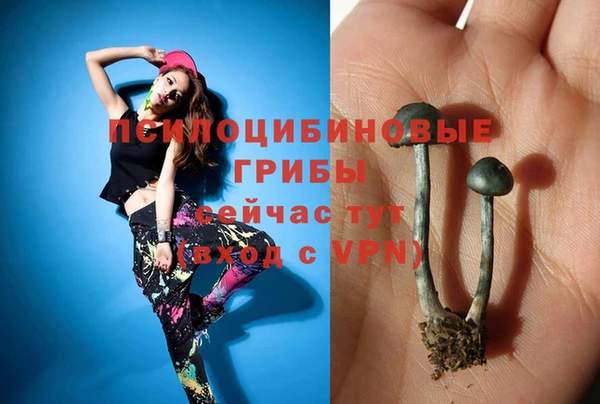 мдпв Каменск-Шахтинский